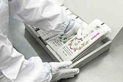 箱を開けた時に見栄えが良いように丁寧に詰め合わせている様子の写真